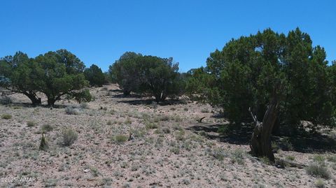 Tiny photo for TBD Rio Ranch, Concho, AZ 85924 (MLS # 256232)