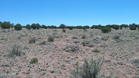Tiny photo for TBD Rio Ranch, Concho, AZ 85924 (MLS # 256232)