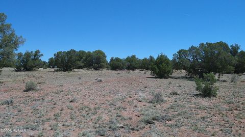 Tiny photo for TBD Rio Ranch, Concho, AZ 85924 (MLS # 256232)