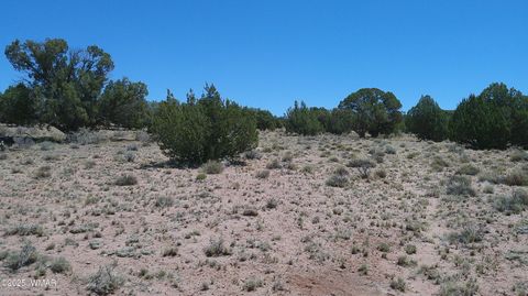 Tiny photo for TBD Rio Ranch, Concho, AZ 85924 (MLS # 256232)
