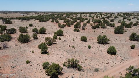 Tiny photo for TBD Rio Ranch, Concho, AZ 85924 (MLS # 256232)