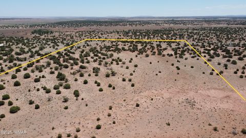 Tiny photo for TBD Rio Ranch, Concho, AZ 85924 (MLS # 256232)