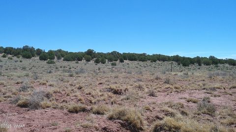Tiny photo for TBD Rio Ranch, Concho, AZ 85924 (MLS # 256232)