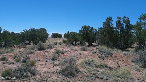 Tiny photo for TBD Rio Ranch, Concho, AZ 85924 (MLS # 256232)