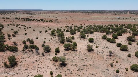 Tiny photo for TBD Rio Ranch, Concho, AZ 85924 (MLS # 256232)