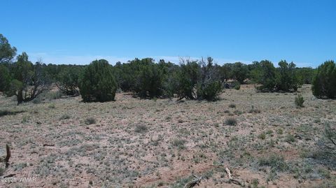 Tiny photo for TBD Rio Ranch, Concho, AZ 85924 (MLS # 256232)