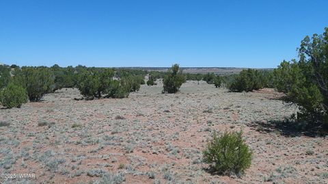 Tiny photo for TBD Rio Ranch, Concho, AZ 85924 (MLS # 256232)