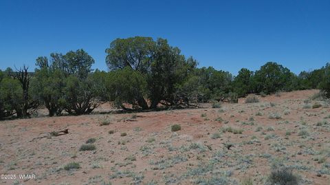 Tiny photo for TBD Rio Ranch, Concho, AZ 85924 (MLS # 256232)