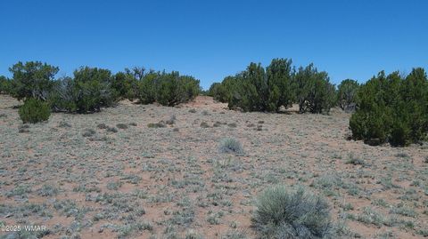 Tiny photo for TBD Rio Ranch, Concho, AZ 85924 (MLS # 256232)