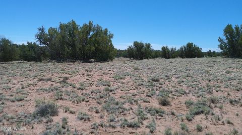 Tiny photo for TBD Rio Ranch, Concho, AZ 85924 (MLS # 256232)