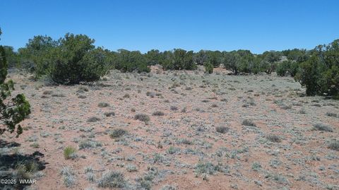 Tiny photo for TBD Rio Ranch, Concho, AZ 85924 (MLS # 256232)
