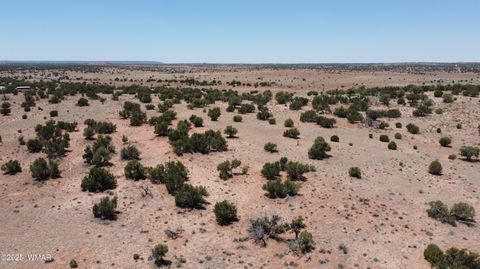 Tiny photo for TBD Rio Ranch, Concho, AZ 85924 (MLS # 256232)