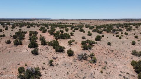 Tiny photo for TBD Rio Ranch, Concho, AZ 85924 (MLS # 256232)