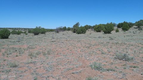 Tiny photo for TBD Rio Ranch, Concho, AZ 85924 (MLS # 256232)