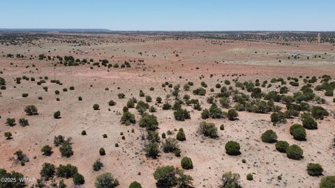 Tiny photo for TBD Rio Ranch, Concho, AZ 85924 (MLS # 256232)