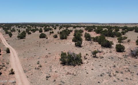 Tiny photo for TBD Rio Ranch, Concho, AZ 85924 (MLS # 256232)