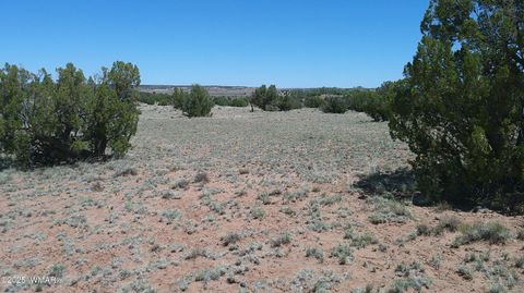 Tiny photo for TBD Rio Ranch, Concho, AZ 85924 (MLS # 256232)