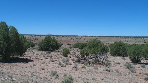 Tiny photo for TBD Rio Ranch, Concho, AZ 85924 (MLS # 256232)
