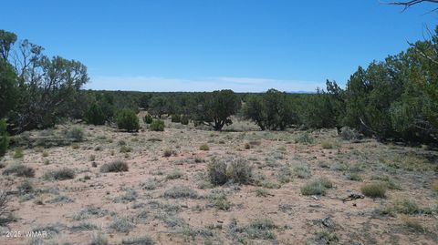 Tiny photo for TBD Rio Ranch, Concho, AZ 85924 (MLS # 256232)