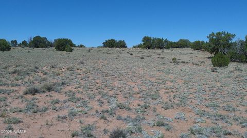 Tiny photo for TBD Rio Ranch, Concho, AZ 85924 (MLS # 256232)