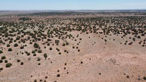 Tiny photo for TBD Rio Ranch, Concho, AZ 85924 (MLS # 256232)