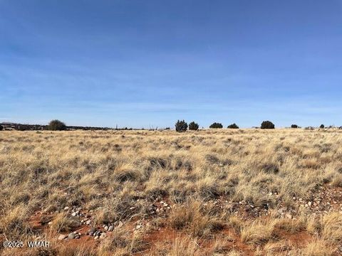 Photo of TBD Thomas Road, Snowflake, AZ 85937 (MLS # 254347)