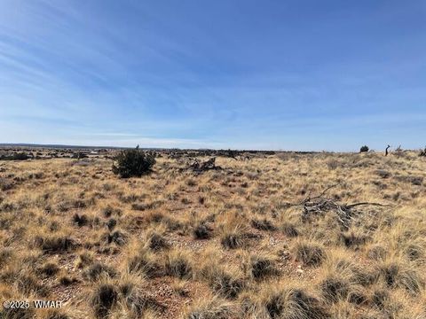 Tiny photo for TBD Thomas Road, Snowflake, AZ 85937 (MLS # 254347)