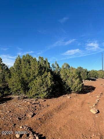 Photo of 8776 Clark Road, Show Low, AZ 85901 (MLS # 262769)