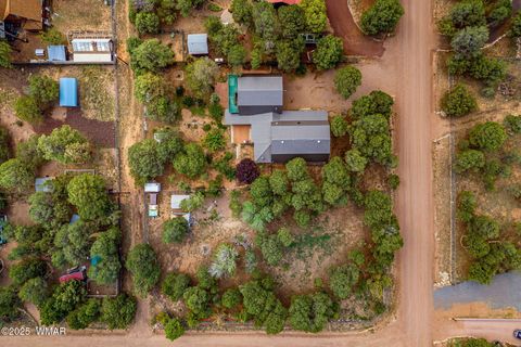 Tiny photo for 2933 Wildcat Trail, Overgaard, AZ 85933 (MLS # 257653)