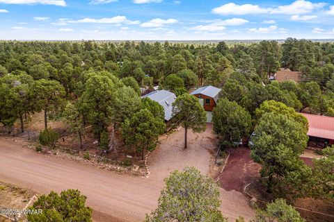 Tiny photo for 2933 Wildcat Trail, Overgaard, AZ 85933 (MLS # 257653)