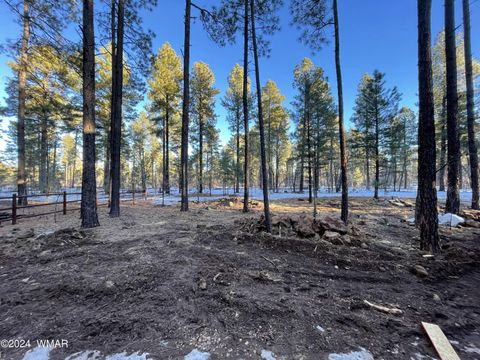 Tiny photo for 3824 Buck Springs Road, Pinetop, AZ 85935 (MLS # 261219)