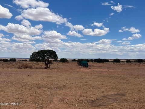 Tiny photo for 8539 Terry Trail, Snowflake, AZ 85937 (MLS # 261039)