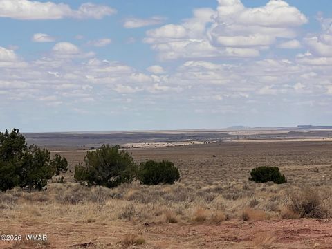 Tiny photo for 8539 Terry Trail, Snowflake, AZ 85937 (MLS # 261039)