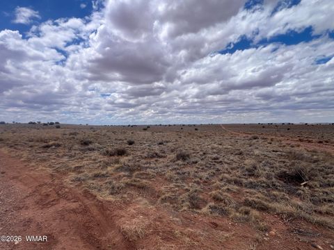 Tiny photo for 8539 Terry Trail, Snowflake, AZ 85937 (MLS # 261039)