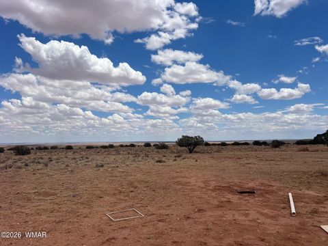 Tiny photo for 8539 Terry Trail, Snowflake, AZ 85937 (MLS # 261039)