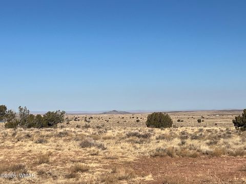 Tiny photo for 8539 Terry Trail, Snowflake, AZ 85937 (MLS # 261039)