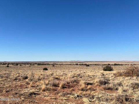 Tiny photo for 8539 Terry Trail, Snowflake, AZ 85937 (MLS # 261039)
