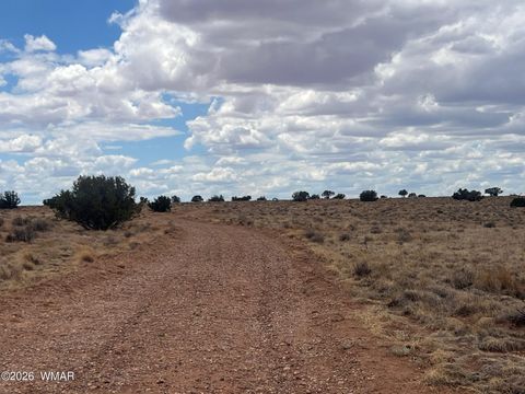 Tiny photo for 8539 Terry Trail, Snowflake, AZ 85937 (MLS # 261039)