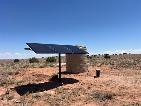 Photo of 8539 Terry Trail, Snowflake, AZ 85937 (MLS # 261039)