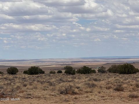 Tiny photo for 8539 Terry Trail, Snowflake, AZ 85937 (MLS # 261039)