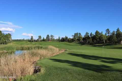 Tiny photo for 520 N Silverleaf Lane, Show Low, AZ 85901 (MLS # 259822)