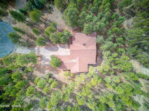 Tiny photo for 520 N Silverleaf Lane, Show Low, AZ 85901 (MLS # 259822)