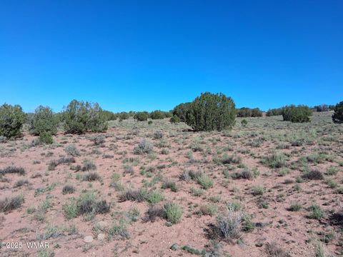 Tiny photo for SW236 N9233, Concho, AZ 85924 (MLS # 258593)