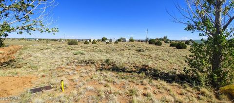 Photo of 1190 S Haystack Road, Taylor, AZ 85939 (MLS # 257976)
