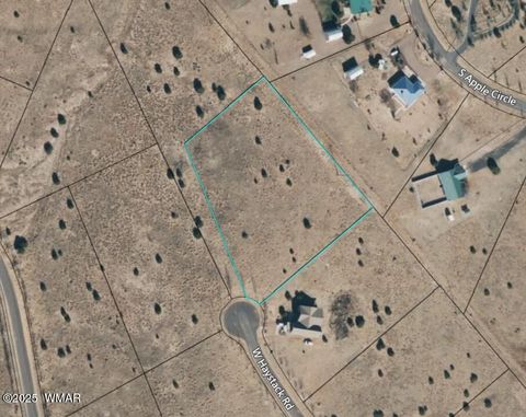 Tiny photo for 1190 S Haystack Road, Taylor, AZ 85939 (MLS # 257976)