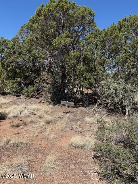 Tiny photo for 1858 Rainbow Circle, Show Low, AZ 85901 (MLS # 256679)