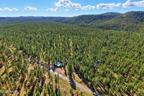 Tiny photo for 38742 State Route 373, Greer, AZ 85927 (MLS # 258513)