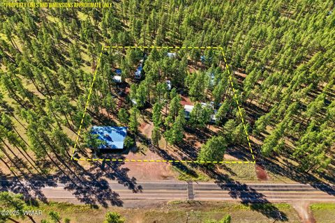Tiny photo for 38742 State Route 373, Greer, AZ 85927 (MLS # 258513)