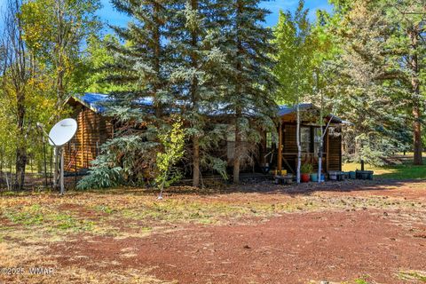 Tiny photo for 38742 State Route 373, Greer, AZ 85927 (MLS # 258513)