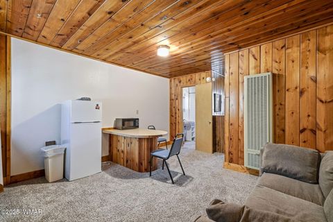 Tiny photo for 38742 State Route 373, Greer, AZ 85927 (MLS # 258513)